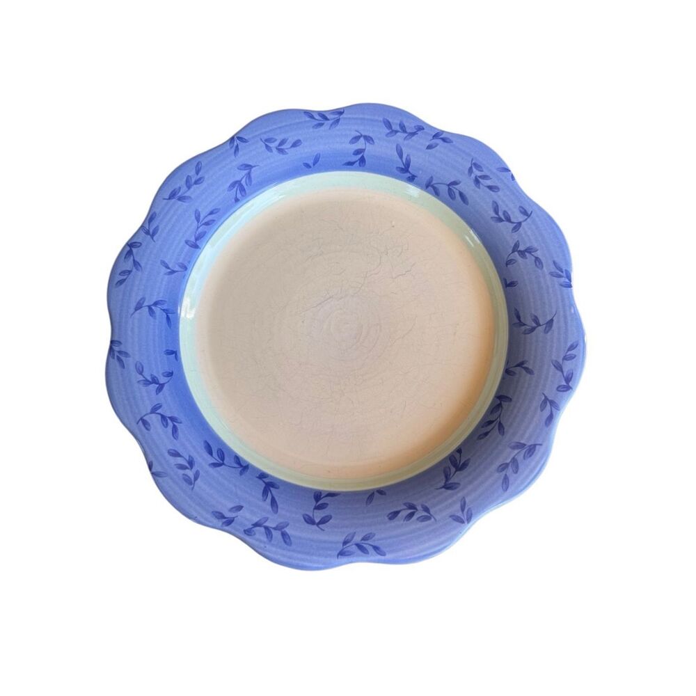 Pfaltzgraff 4 piece Summer Breeze Salad Plates Scalloped